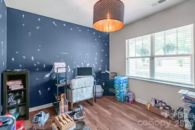 117 Wildflower Drive, Locust, NC 28097 - Photo 11