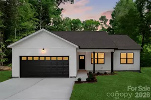 1290 Scotts Creek Rd, Statesville, NC 28625 - Photo 3