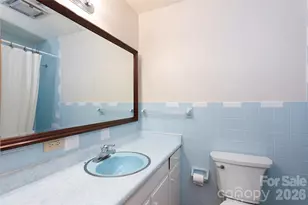 138 Stillwagon Ln, Cedar Mountain, NC 28718 - Photo 27