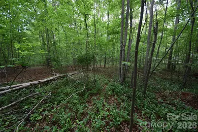3007 Paraham Road S, York, SC 29745 - Photo 21