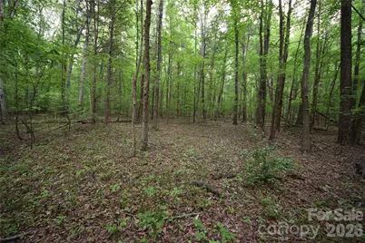 3007 Paraham Road S, York, SC 29745 - Photo 25
