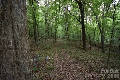3007 Paraham Road S, York, SC 29745 - Photo 27