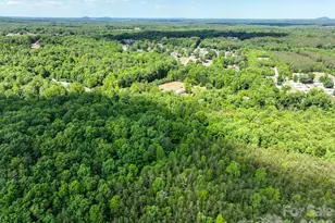 5347 Lewis Rd, Gastonia, NC 28052 - Photo 37