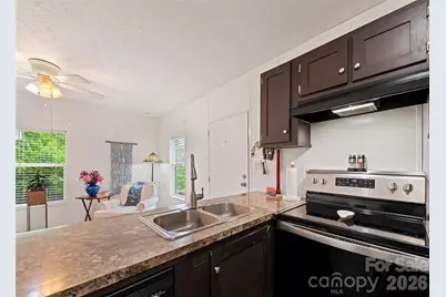 17 King Drive, Leicester, NC 28748 - Photo 9