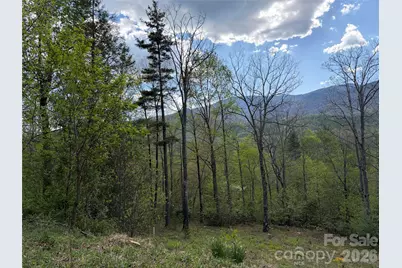000 Mt. Mitchell Drive, Burnsville, NC 28714 - Photo 13