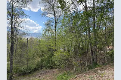 000 Mt. Mitchell Drive, Burnsville, NC 28714 - Photo 7