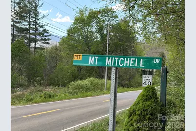 000 Mt. Mitchell Drive, Burnsville, NC 28714 - Photo 1