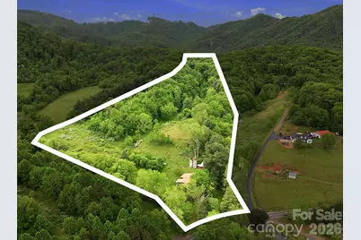 250 Potato Branch Road, Leicester, NC 28748 - Photo 5
