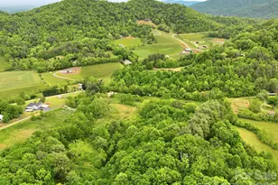 250 Potato Branch Rd, Leicester, NC 28748 - Photo 47