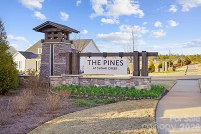 3671 Blue Pine Drive, Indian Land, SC 29707 - Photo 33