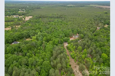 3133 Magnolia Road, Bennettsville, SC 29512 - Photo 5