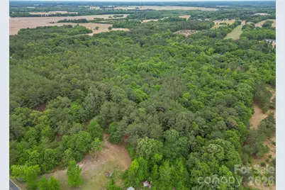 3133 Magnolia Road, Bennettsville, SC 29512 - Photo 11