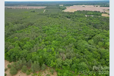 3133 Magnolia Road, Bennettsville, SC 29512 - Photo 7