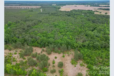 000 Magnolia Road, Bennettsville, SC 29512 - Photo 5
