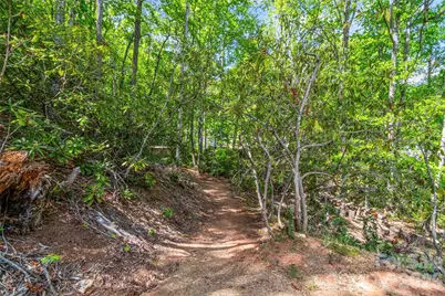 293 Spar Mill Road, Burnsville, NC 28714 - Photo 43