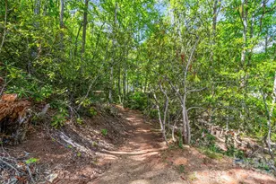 293 Spar Mill Rd, Burnsville, NC 28714 - Photo 43