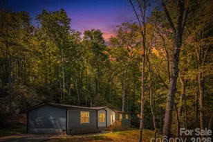293 Spar Mill Rd, Burnsville, NC 28714 - Photo 3