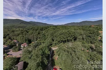 17 Chicago Avenue, Black Mountain, NC 28711 - Photo 13
