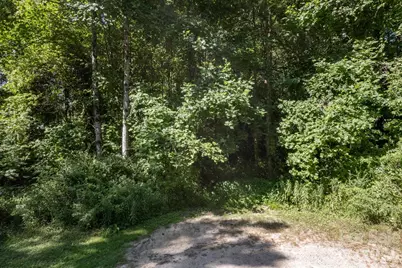 17 Chicago Avenue, Black Mountain, NC 28711 - Photo 3