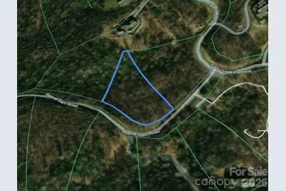 0 Beaver Dam Road, Banner Elk, NC 28604 - Photo 11