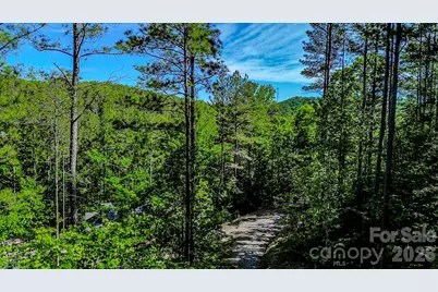 146 S Branch Drive, Bostic, NC 28018 - Photo 17