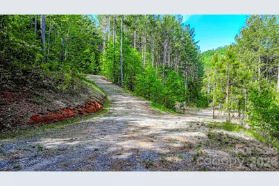 146 S Branch Drive, Bostic, NC 28018 - Photo 7