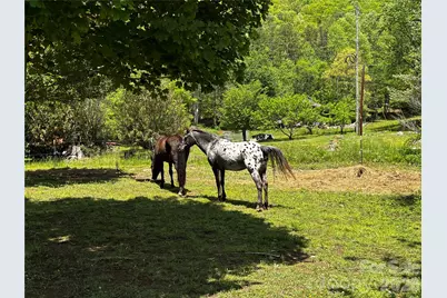 1659 Mountain Creek Road, Robbinsville, NC 28871 - Photo 3