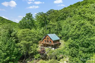 1206 Caldwell Mountain Rd, Hot Springs, NC 28743 - Photo 3