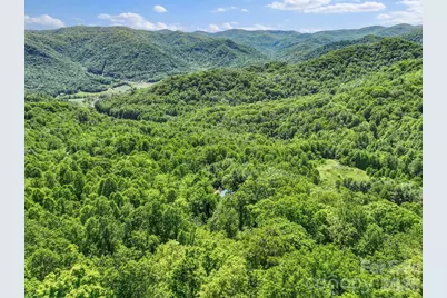 1206 Caldwell Mountain Road, Hot Springs, NC 28743 - Photo 43