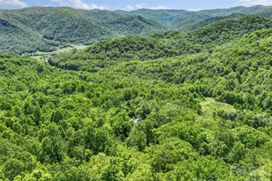 1206 Caldwell Mountain Rd, Hot Springs, NC 28743 - Photo 43