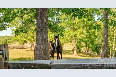 777 S River Road, Tryon, NC 28782 - Photo 5
