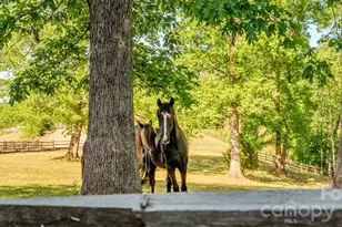 777 S River Rd, Tryon, NC 28782 - Photo 5