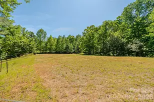 777 S River Rd, Tryon, NC 28782 - Photo 47