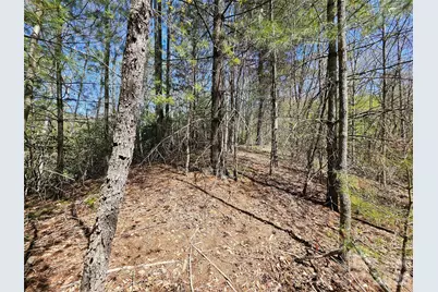 465 Paradise Lane, Burnsville, NC 28714 - Photo 41