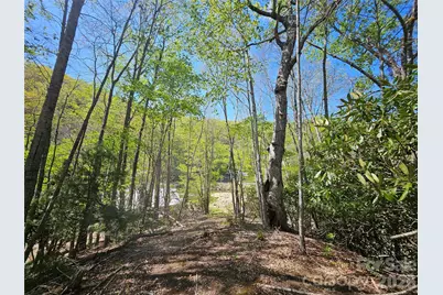 465 Paradise Lane, Burnsville, NC 28714 - Photo 43