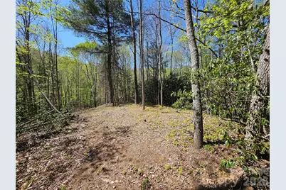 465 Paradise Lane, Burnsville, NC 28714 - Photo 39