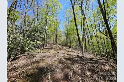 465 Paradise Lane, Burnsville, NC 28714 - Photo 31