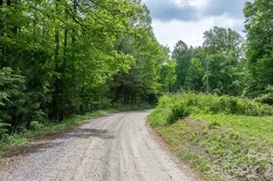 3494 Vannoy Ridge Rd, Moravian Falls, NC 28654 - Photo 39