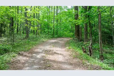 3494 Vannoy Ridge Road, Moravian Falls, NC 28654 - Photo 25