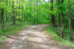 3494 Vannoy Ridge Rd, Moravian Falls, NC 28654 - Photo 25