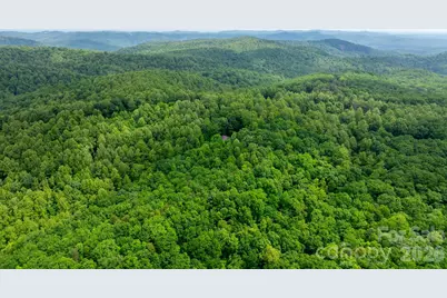 3494 Vannoy Ridge Road, Moravian Falls, NC 28654 - Photo 33