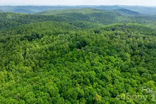 3494 Vannoy Ridge Rd, Moravian Falls, NC 28654 - Photo 33