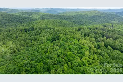 3494 Vannoy Ridge Road, Moravian Falls, NC 28654 - Photo 37