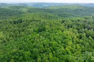 3494 Vannoy Ridge Rd, Moravian Falls, NC 28654 - Photo 37