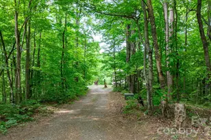 3494 Vannoy Ridge Rd, Moravian Falls, NC 28654 - Photo 23