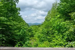 3494 Vannoy Ridge Rd, Moravian Falls, NC 28654 - Photo 29