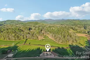 1060 California Creek Rd, Mars Hill, NC 28754 - Photo 3