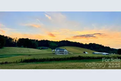 1060 California Creek Road, Mars Hill, NC 28754 - Photo 1