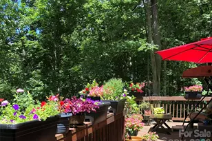 55 Sugar Hill Dr, Weaverville, NC 28787 - Photo 35