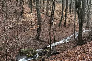 55 Sugar Hill Dr, Weaverville, NC 28787 - Photo 45